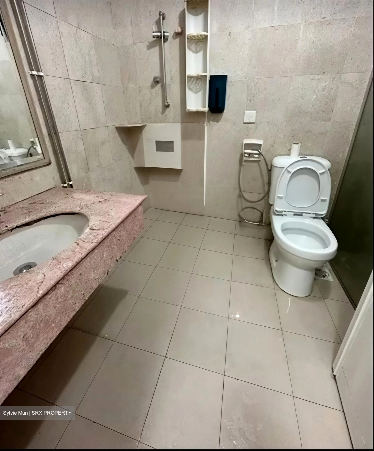 Oleander Towers (D12), Apartment #579110491